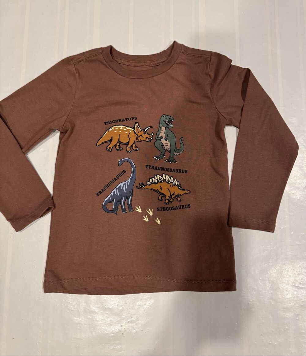 Boy’s Pekkle Dinosaur Graphic Long Sleeve Shirt – Brown – Size 6